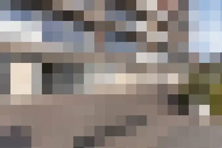 Aalscholversingel 68 Velp thumbnail 6