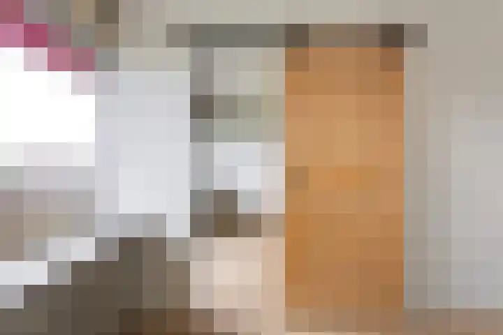 Aalscholversingel 72 Velp thumbnail 11