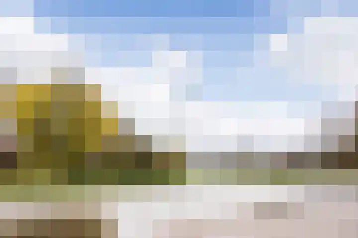 Aalscholversingel 72 Velp thumbnail 23