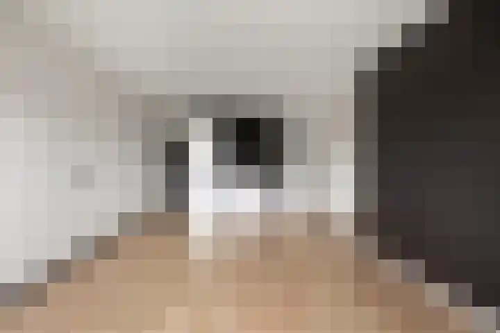 Aalscholversingel 72 Velp thumbnail 4