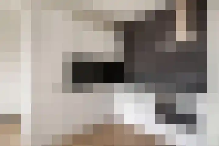 Aalscholversingel 72 Velp thumbnail 6