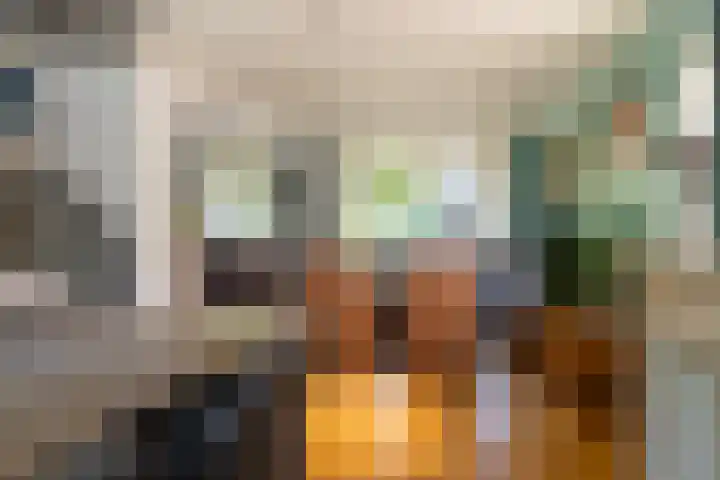 Aalscholverstraat 15 Werkendam thumbnail 11