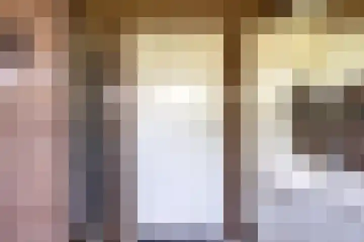 Aalscholverstraat 15 Werkendam thumbnail 17