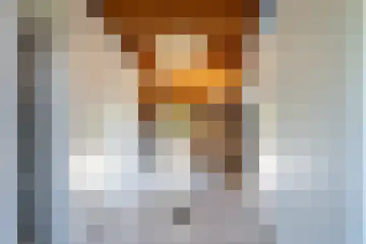 Aalscholverstraat 15 Werkendam thumbnail 18