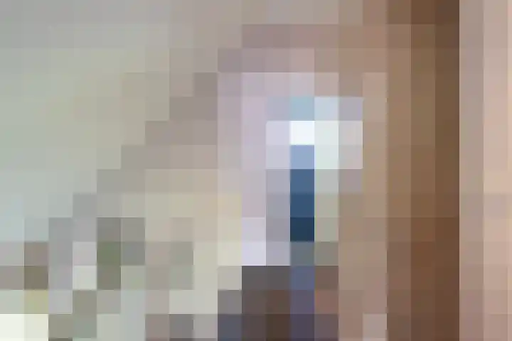 Aalscholverstraat 15 Werkendam thumbnail 22