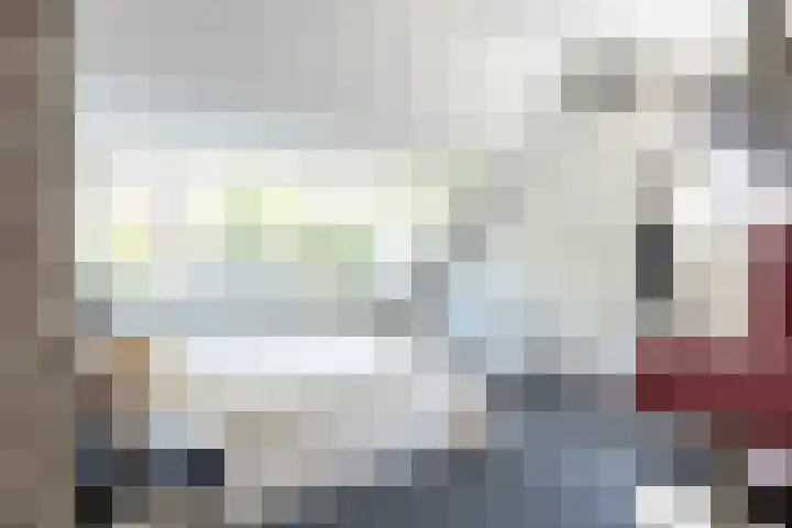 Aalscholverstraat 15 Werkendam thumbnail 23