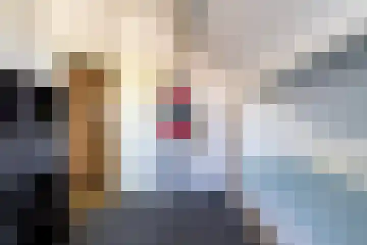 Aalscholverstraat 15 Werkendam thumbnail 27