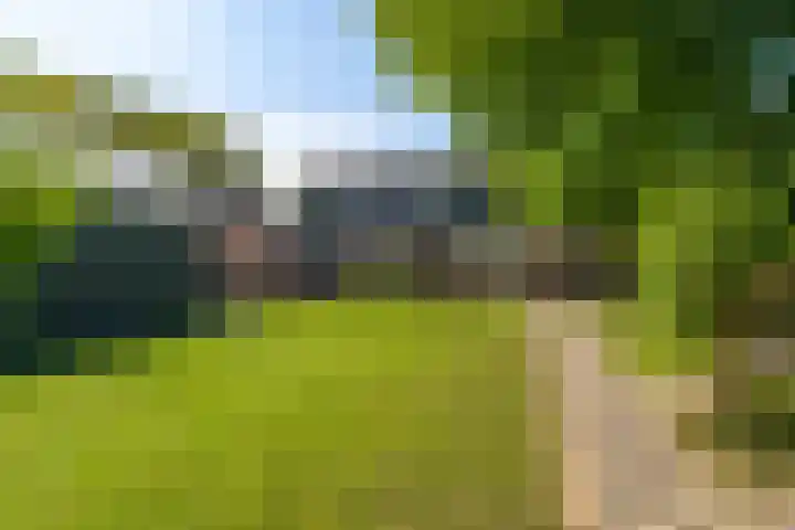 Aalscholverstraat 15 Werkendam thumbnail 33