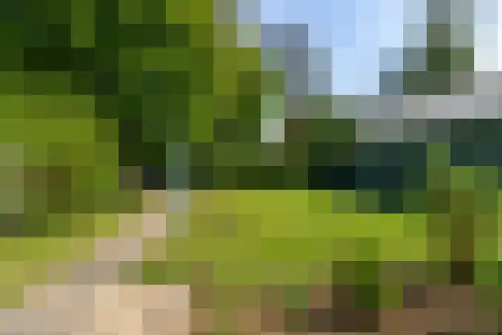 Aalscholverstraat 15 Werkendam thumbnail 34