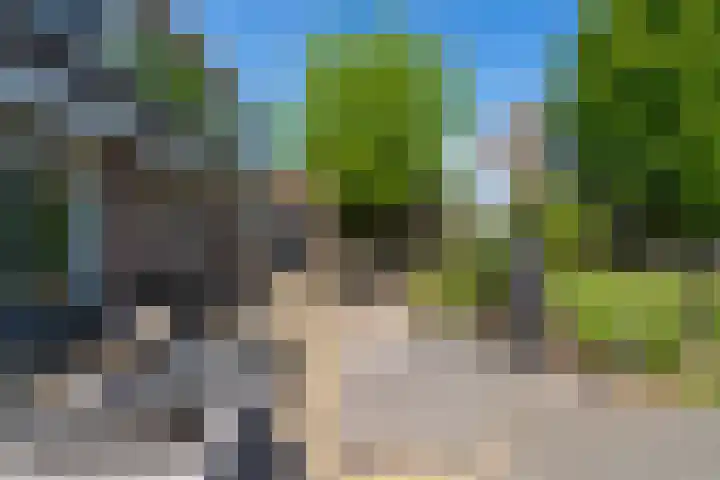 Aalscholverstraat 15 Werkendam thumbnail 36