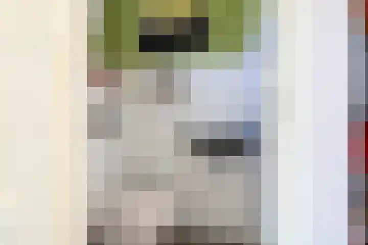 Aalscholverstraat 15 Werkendam thumbnail 7