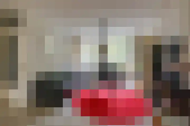 Aalscholverstraat 31 Duiven thumbnail 10