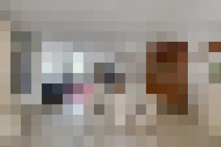 Aalscholverstraat 31 Duiven thumbnail 13