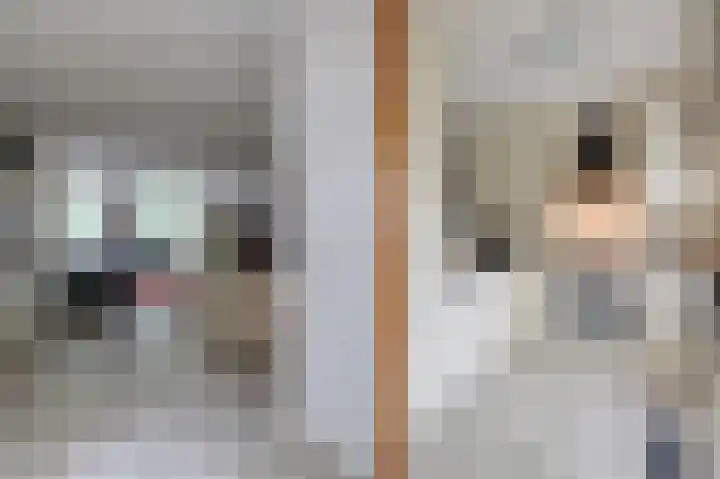 Aalscholverstraat 31 Duiven thumbnail 14