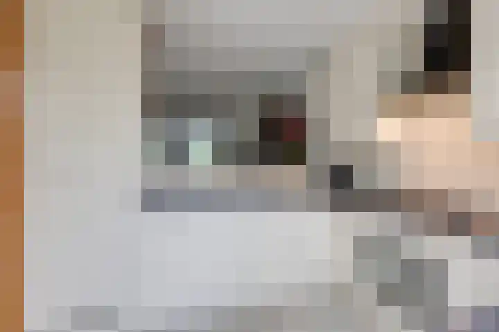 Aalscholverstraat 31 Duiven thumbnail 16