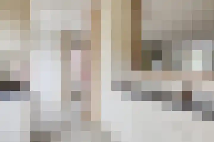 Aalscholverstraat 31 Duiven thumbnail 17