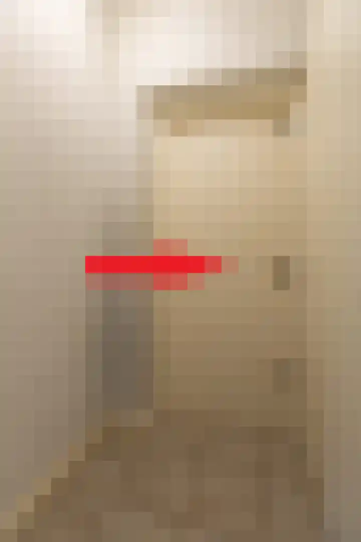 Aalscholverstraat 31 Duiven thumbnail 18