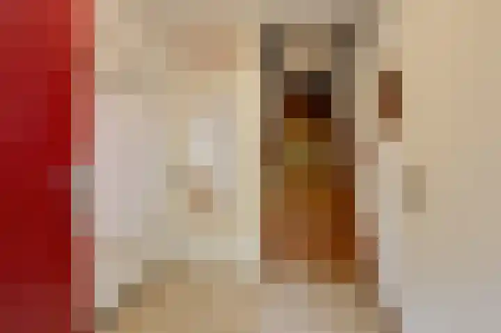 Aalscholverstraat 31 Duiven thumbnail 22