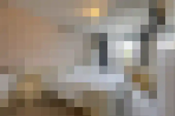 Aalscholverstraat 31 Duiven thumbnail 24