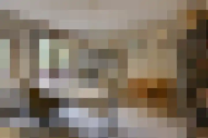 Aalscholverstraat 31 Duiven thumbnail 26