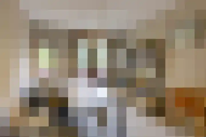 Aalscholverstraat 31 Duiven thumbnail 27