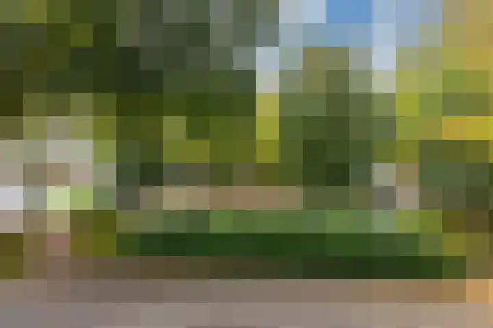 Aalscholverstraat 31 Duiven thumbnail 28
