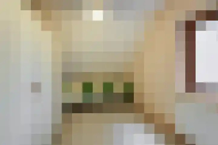 Aalscholverstraat 31 Duiven thumbnail 29
