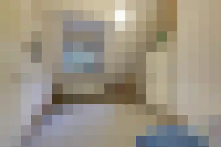 Aalscholverstraat 31 Duiven thumbnail 33