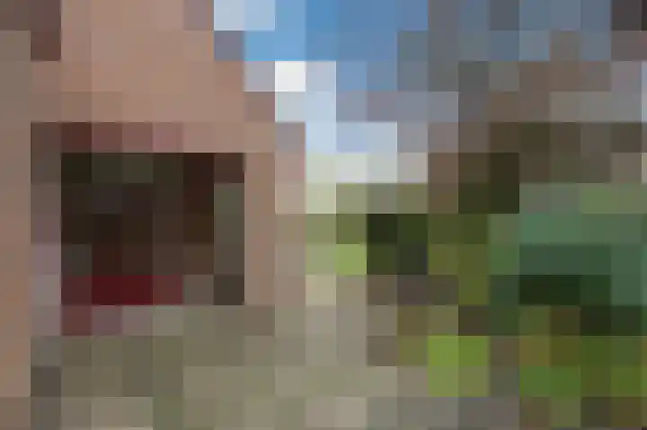 Aalscholverstraat 31 Duiven thumbnail 37
