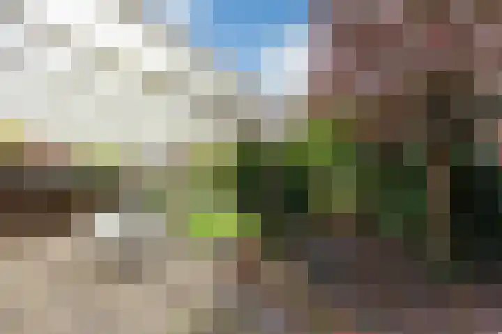 Aalscholverstraat 31 Duiven thumbnail 38