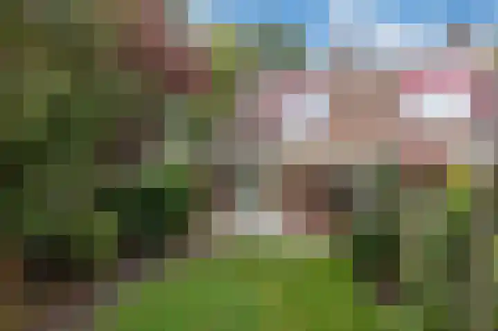 Aalscholverstraat 31 Duiven thumbnail 4