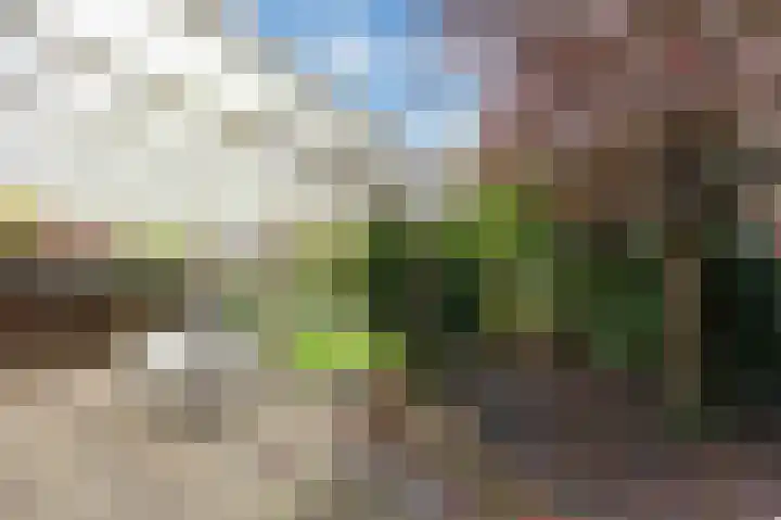 Aalscholverstraat 31 Duiven thumbnail 40
