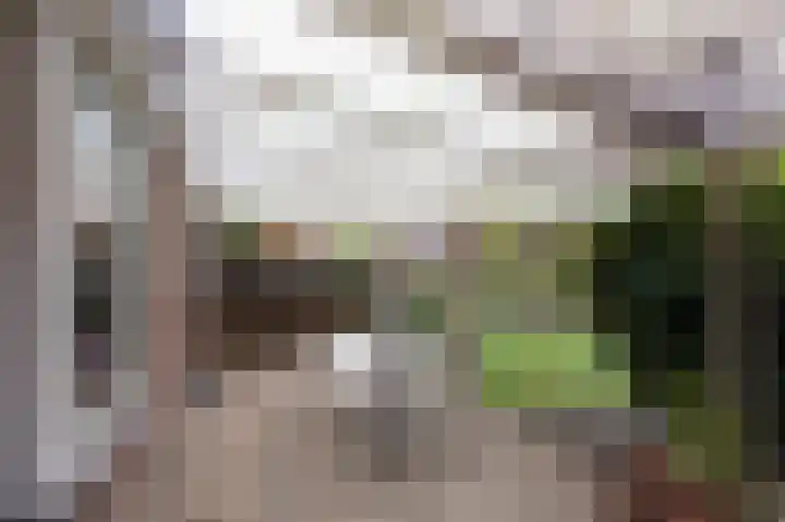 Aalscholverstraat 31 Duiven thumbnail 41