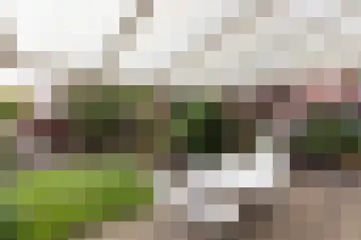 Aalscholverstraat 31 Duiven thumbnail 42