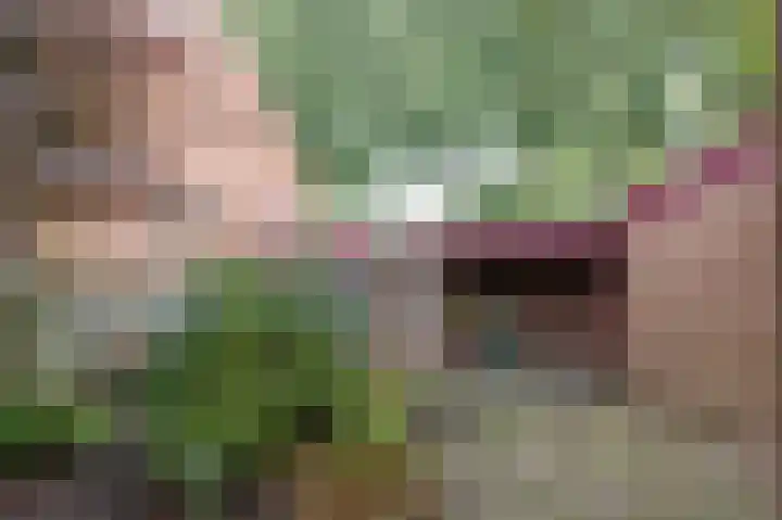 Aalscholverstraat 31 Duiven thumbnail 43