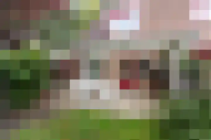 Aalscholverstraat 31 Duiven thumbnail 44