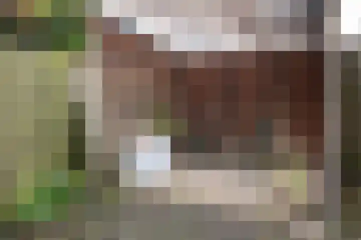 Aalscholverstraat 31 Duiven thumbnail 45
