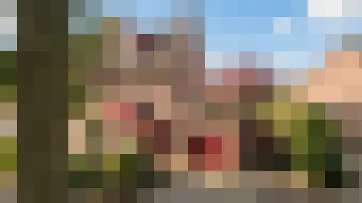 Aalscholverstraat 31 Duiven thumbnail 46