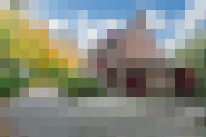 Aalscholverstraat 31 Duiven thumbnail 49
