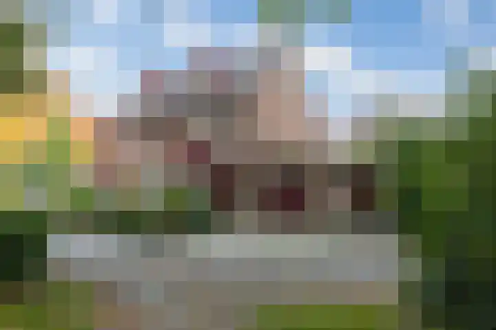 Aalscholverstraat 31 Duiven thumbnail 50