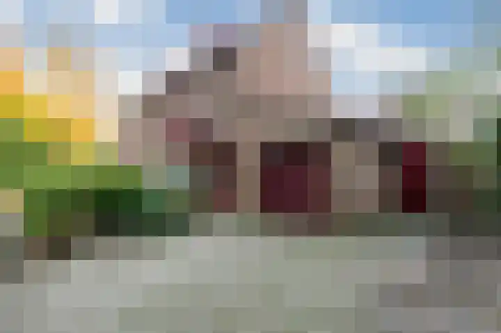 Aalscholverstraat 31 Duiven thumbnail 51