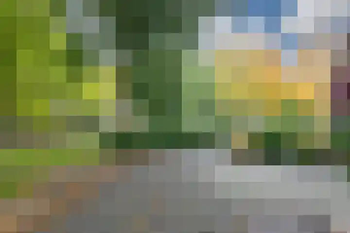 Aalscholverstraat 31 Duiven thumbnail 53