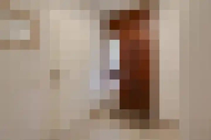 Aalscholverstraat 31 Duiven thumbnail 7