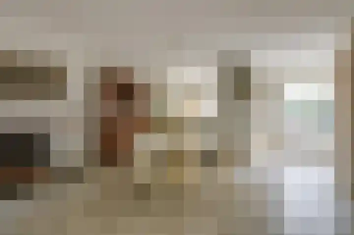 Aalscholverstraat 31 Duiven thumbnail 8