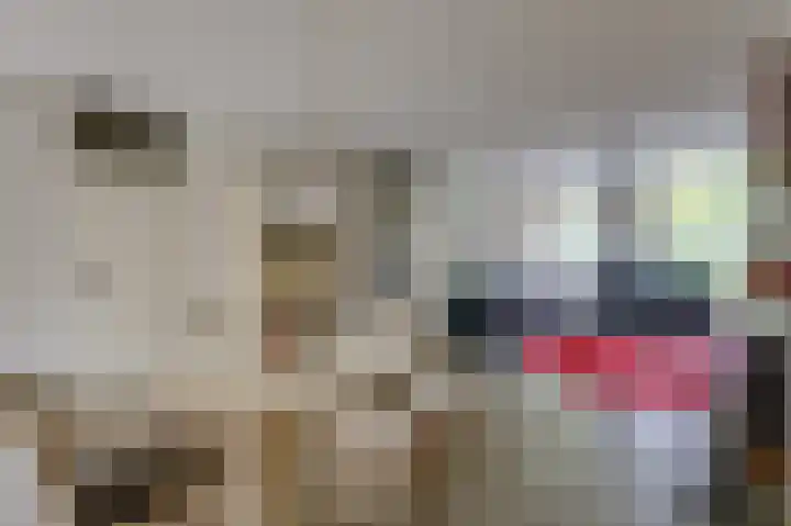 Aalscholverstraat 31 Duiven thumbnail 9