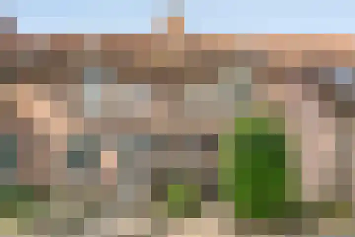 Aalscholverstraat 39 en Duiven