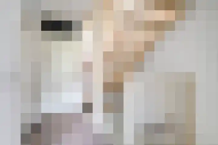 Aalscholverstraat 39 Duiven thumbnail 12