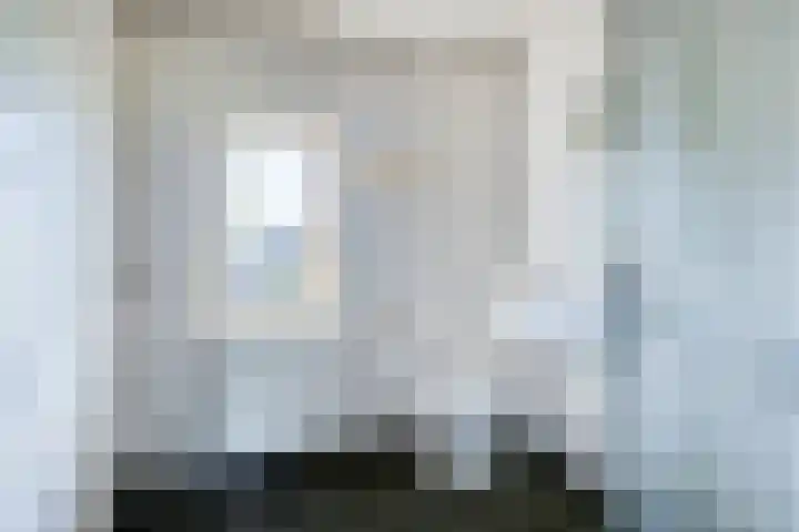 Aalscholverstraat 39 Duiven thumbnail 16