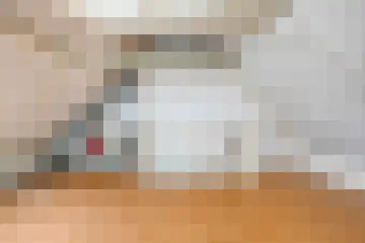 Aalscholverstraat 39 Duiven thumbnail 20