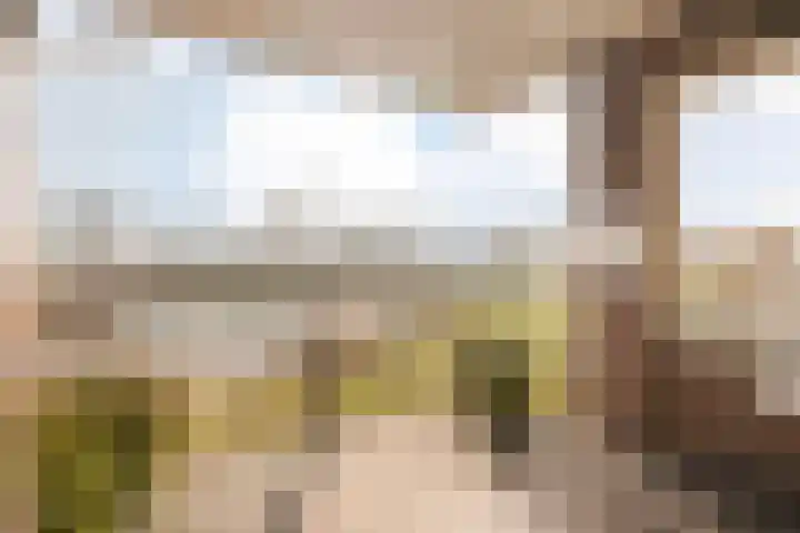 Aalscholverstraat 39 Duiven thumbnail 30